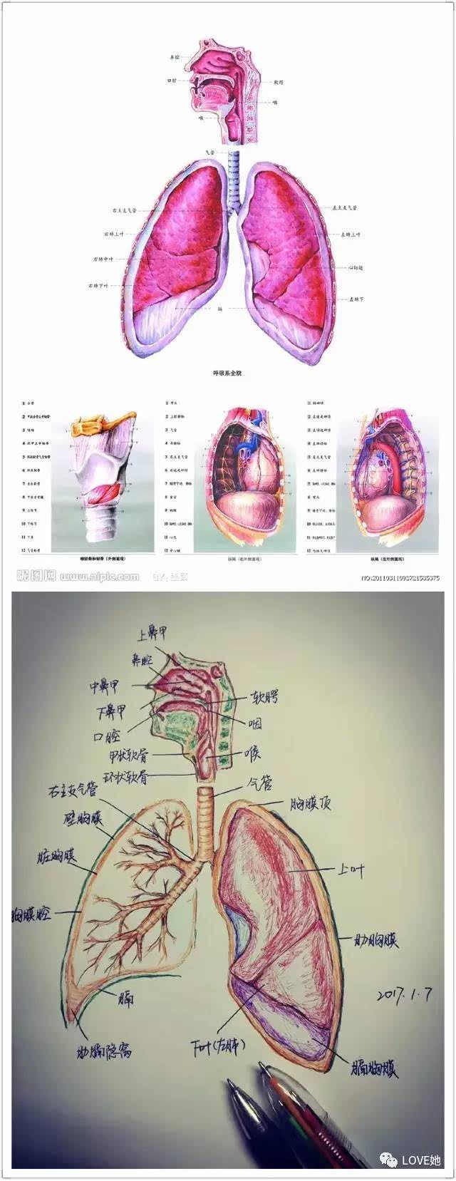 网投十大信誉可靠平台