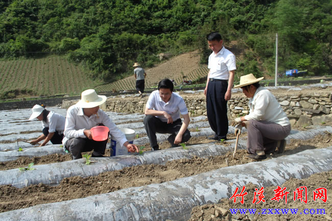 十大网投平台大全